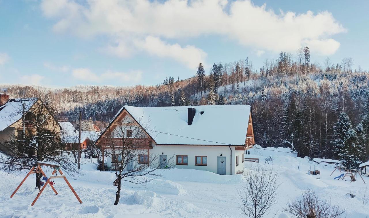 Pod Szarowym Lasem * Wisla